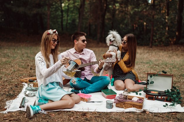 Group of teenagers with poodle having picnic