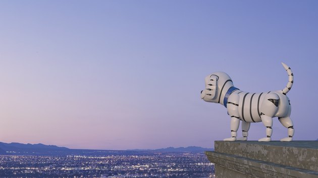 Robot dog looking at skyline at night, 3d rendering