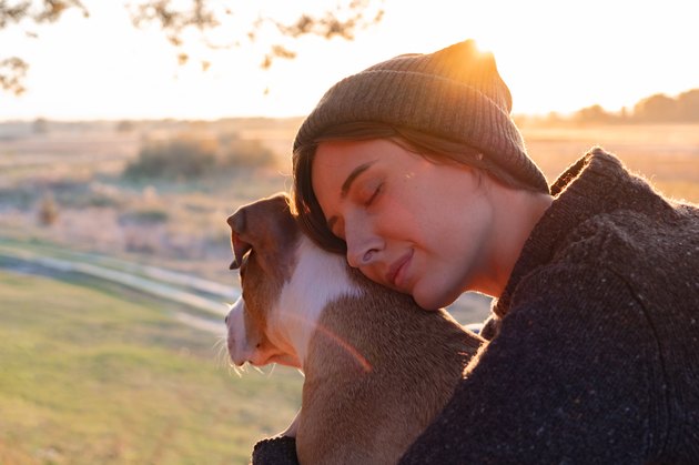 Hugging a dog in beautiful nature at sunset