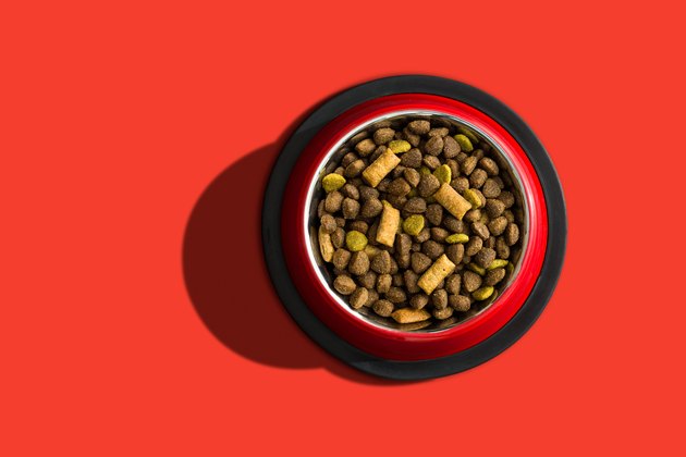 Directly Above Shot Of Dog Food In Bowl On Red Background