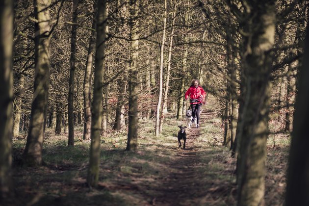 A woman and dog walking through trees