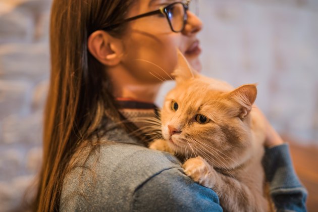 Young woman holding her beautiful Maine Coon cat.