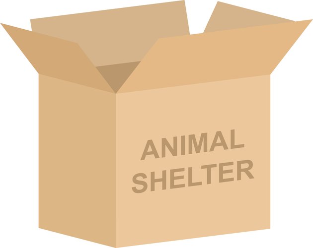 Animal Shelter Charity Box Vector