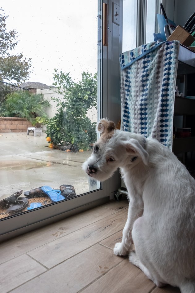 Rainy Day Blues