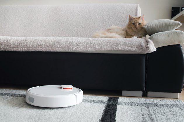 Robotic vacuum cleaner cleaning the room.