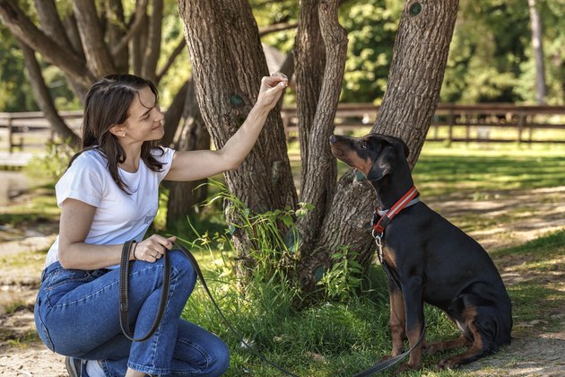 woman spend time with soy dog doberman outdoors