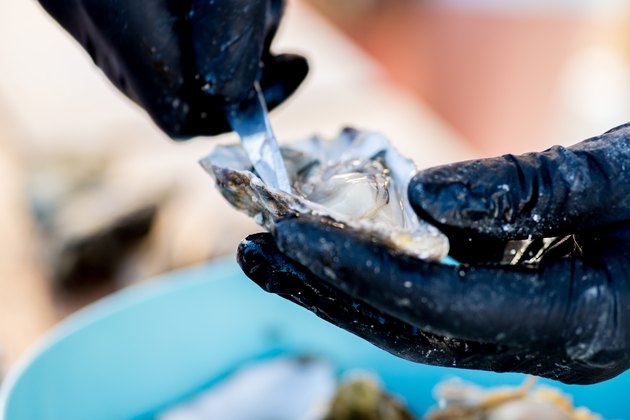 oyster is opened and cut with a special knife