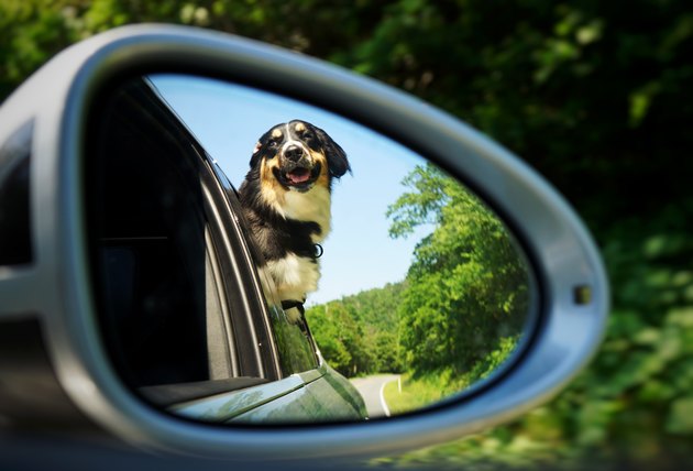 driving in skyline drive