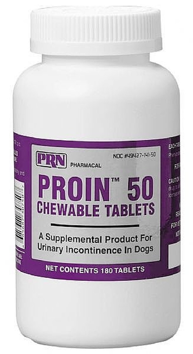 Medication For Urinary Incontinence In Dogs