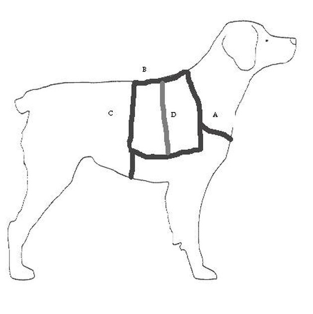 How to Make Service Dog Vests | Cuteness