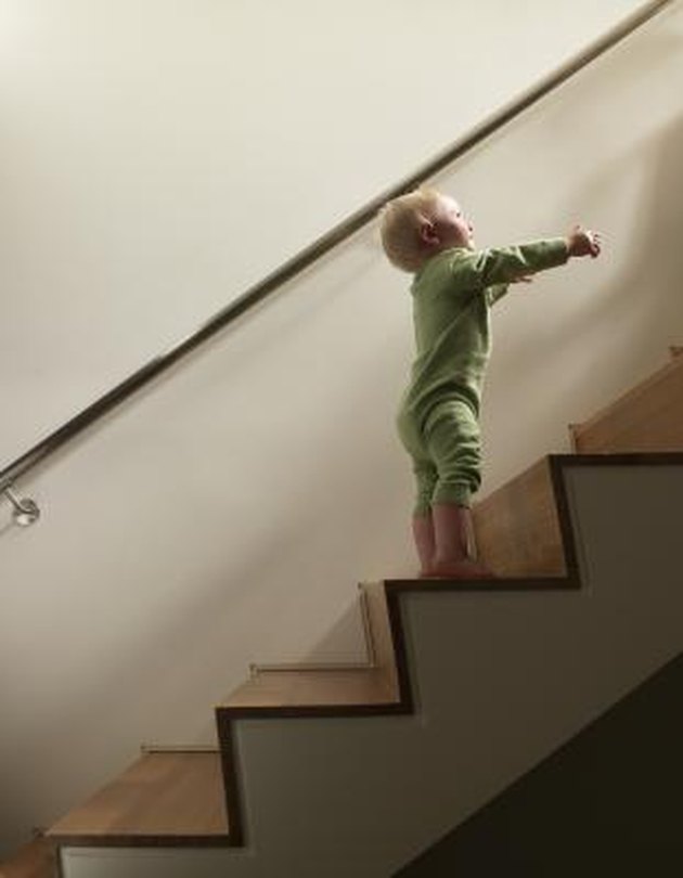 Teaching an animal a new behavior can be a step-by-step process.