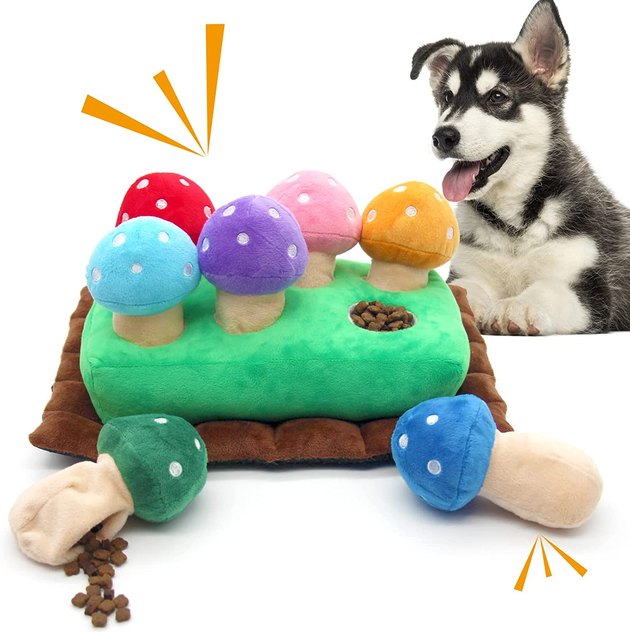 Dog Enrichment Toys, Dog Puzzle Toys For Puppies, Snuffle Mat For Small Dogs,  Squeaky Dog Toys Puppy Chew Toys For Teething Small Dogs