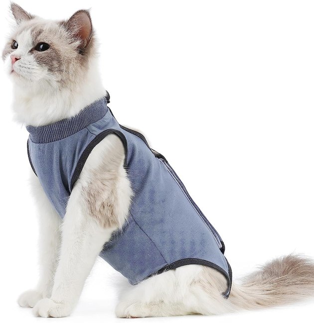 Cat Recovery Suits That Are Far Comfier Than a Cone