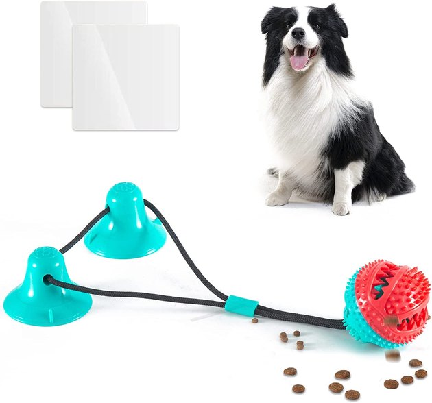 Dog Double Suction Cup Tug Ball Toys Chew Bite Tooth Cleaning Interactive  Toy US 