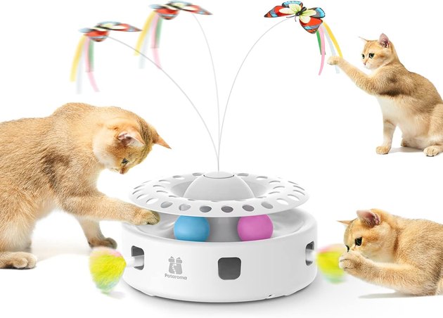 Best Automatic Cat Toys 8 That