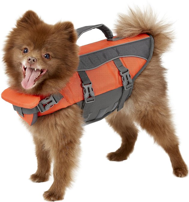 Best Dog Life Jackets 2023: 9 Picks for Safety and Comfort