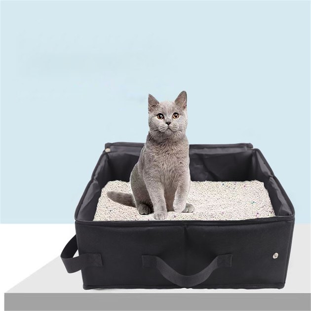 small travel cat litter box