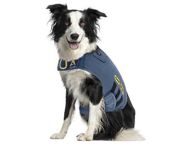 MLB Houston Astros Dog Anxiety Shirt Calming Soothing Solution Vest, for  Dogs & Cats with Anxiety, Fears, Fireworks, Loud Noises, Dark, Lonely Keeps