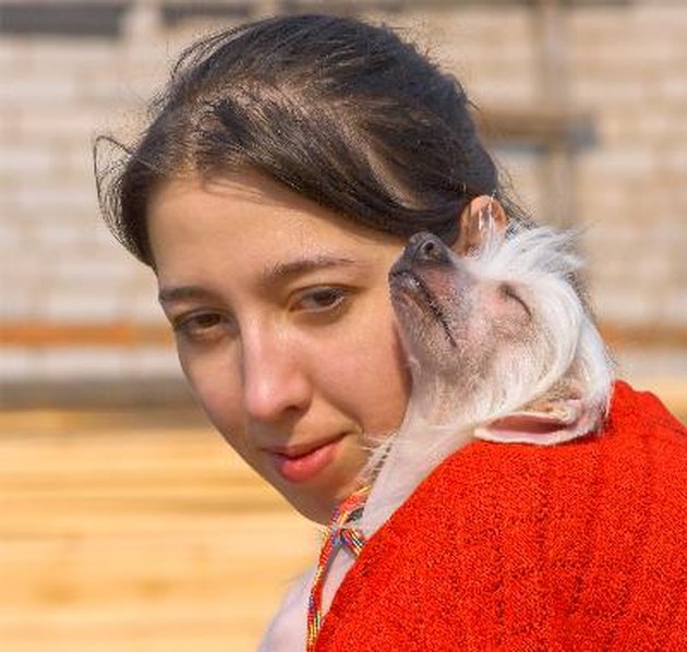 young woman and her dog 2