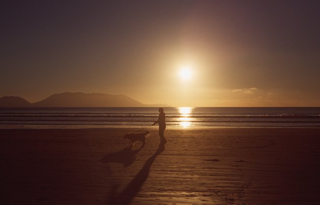 Silhouette of a person and a dog on inch beach, co. Kerry, Ireland