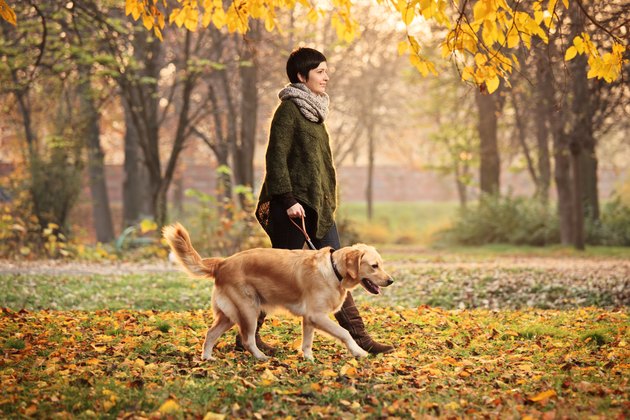 Girl and her dog walking in a park