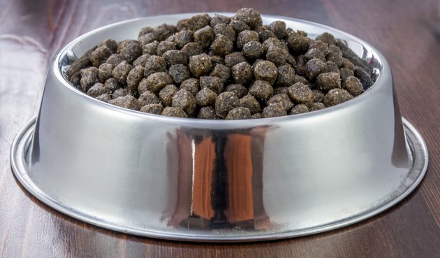 dogs food