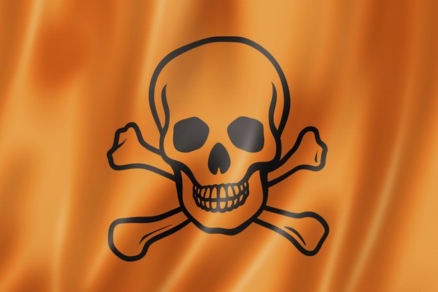 toxic poison skull flag
