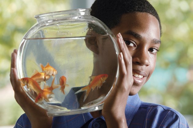 Boy holding goldfish bowl
