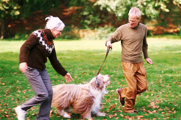 Older Couple Playing with Dog