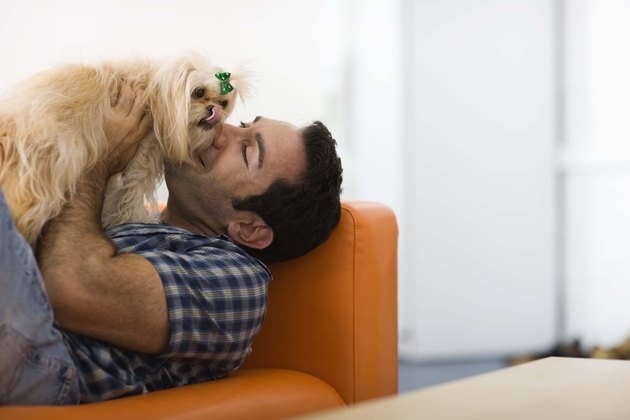 Man relaxing with a dog