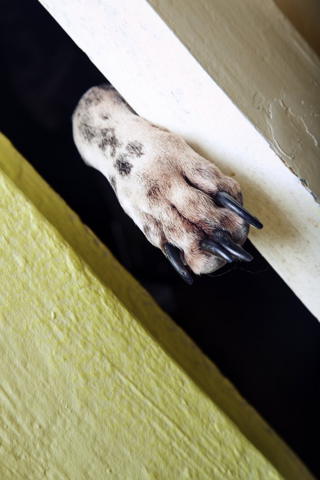 Captivity