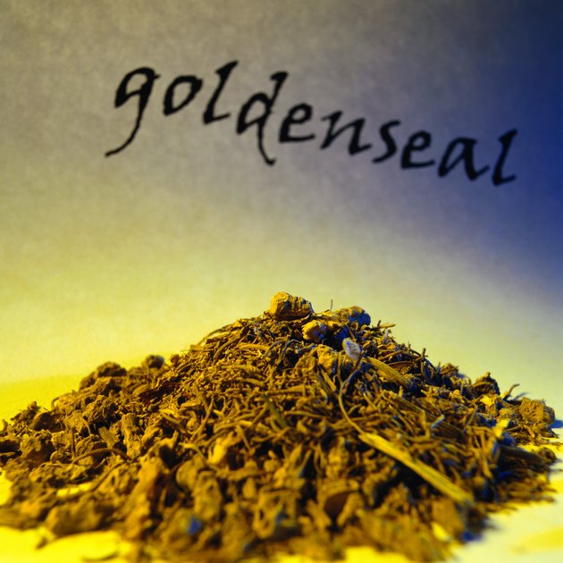 Goldenseal
