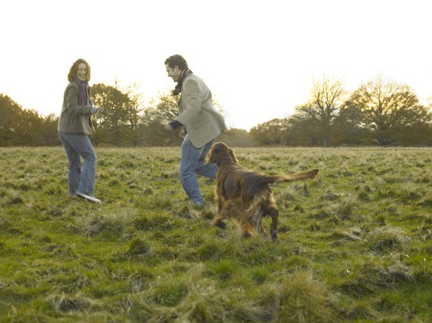 Couple playing with dog in park