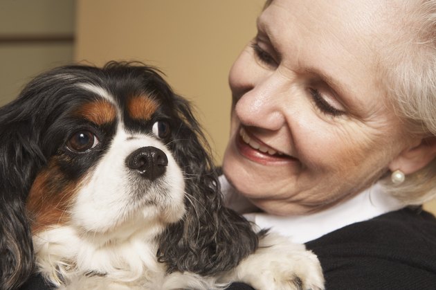 Woman holding dog