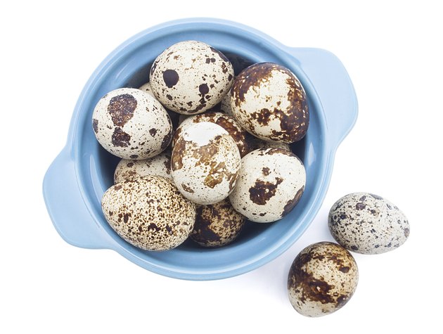 Quail egg in bowl, isolated on white background