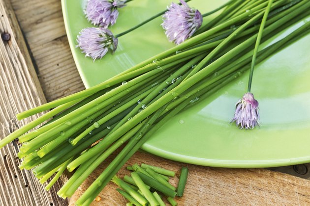 chives on the plate
