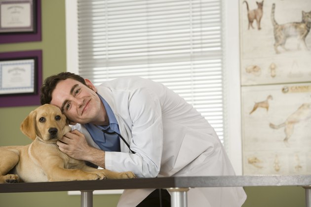 Vet with puppy