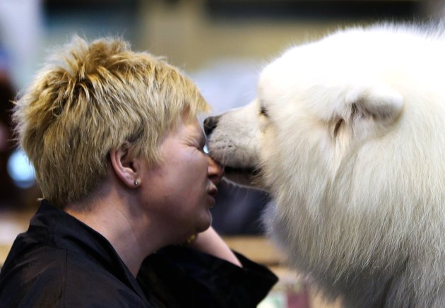 Dogs And Owners Gather For 2013 Crufts Dog Show