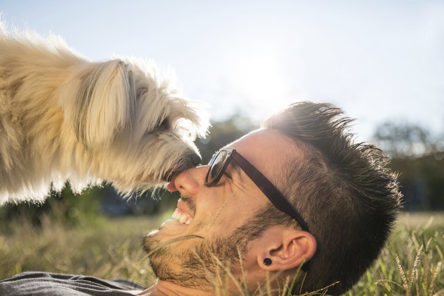 Cool dog playing with his owner