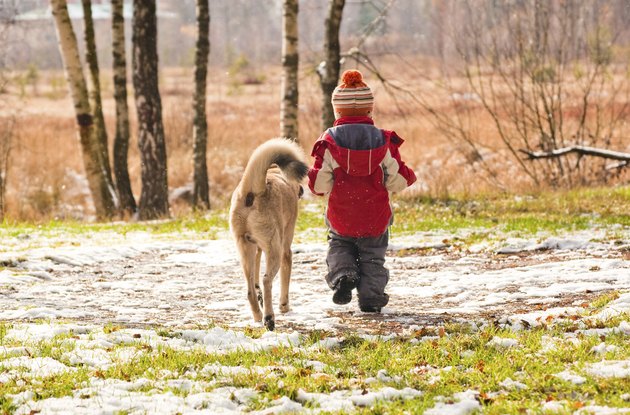 First snow. Little boy walking with his dog.