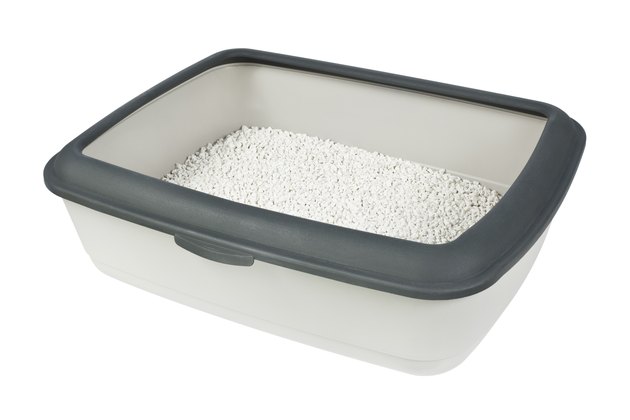 Litter box