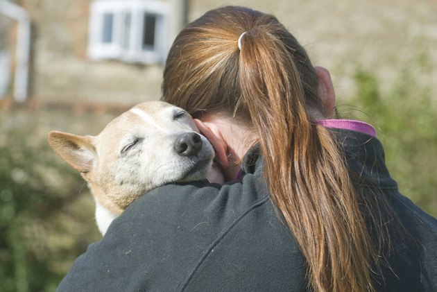 Young Women cuddling a Jack Russell Terrier dog