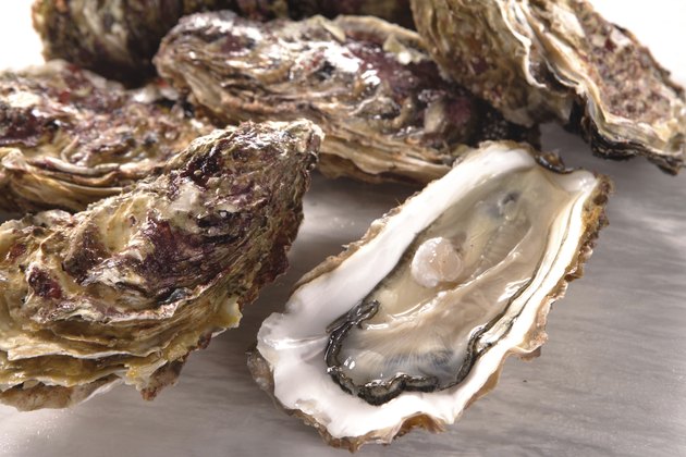 Oyster