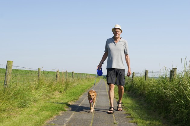 Elderly man walking the dog