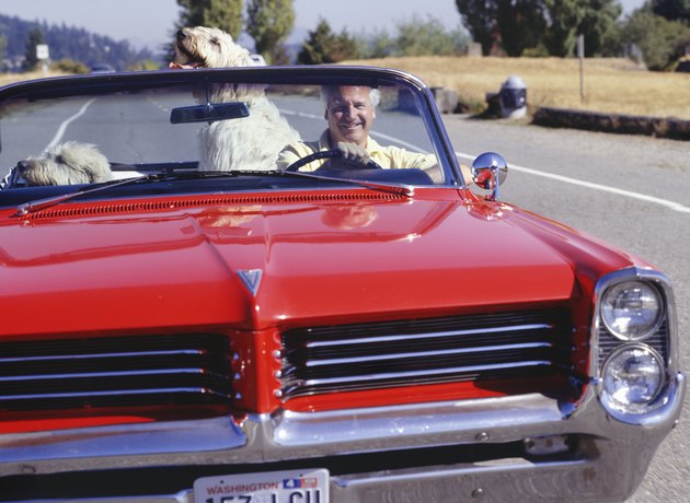 Man driving red convertible car with dogs in countryside