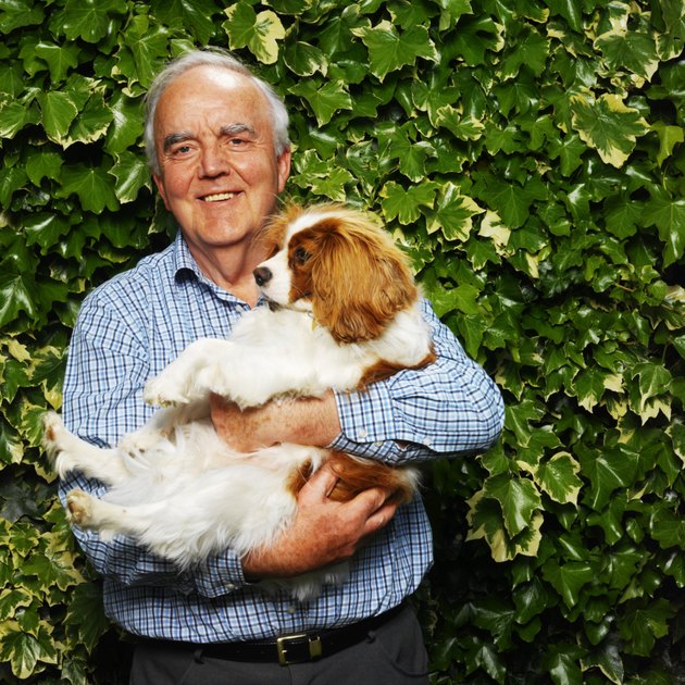portrait of a man holding a cavalier king charles spaniel