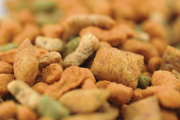 Dog food