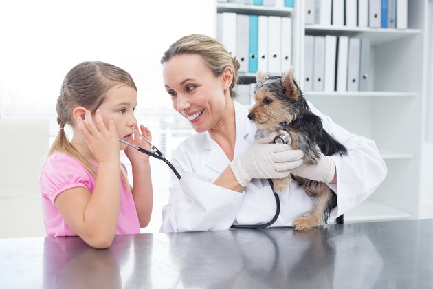 Vet with girl examining puppy
