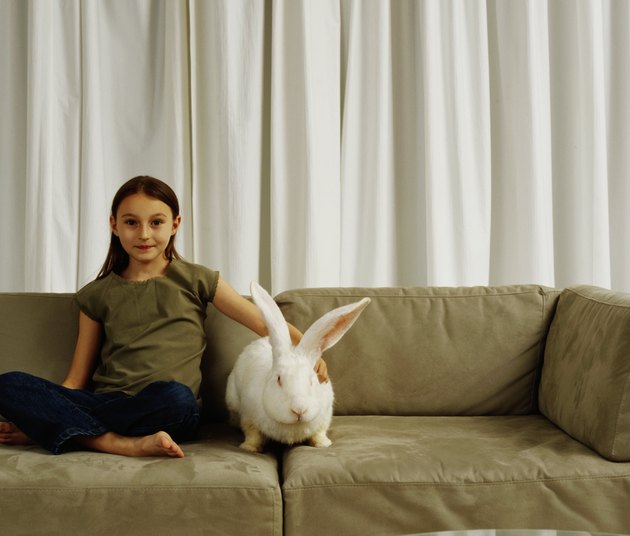 Girl (7-9) on sofa with white rabbit, portrait