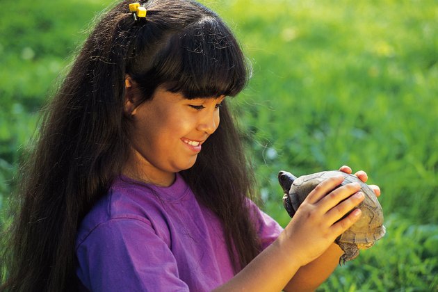 Girl holding box turtle